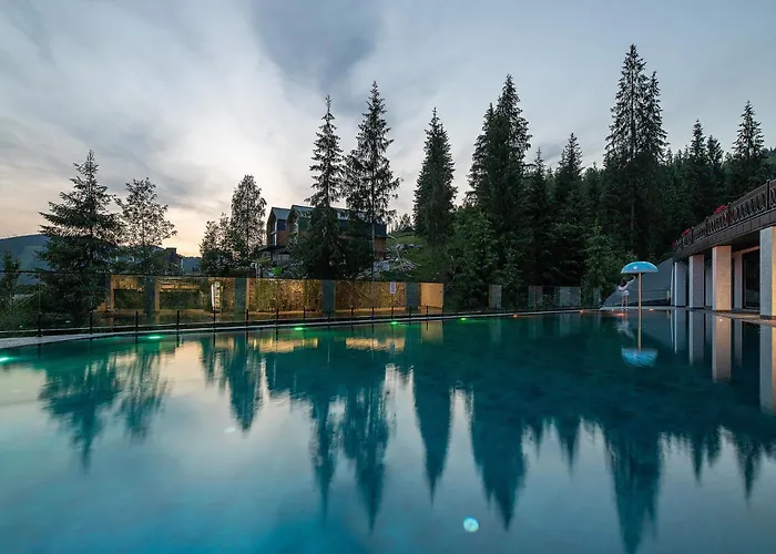Podgorie Spa&resort * 布克维